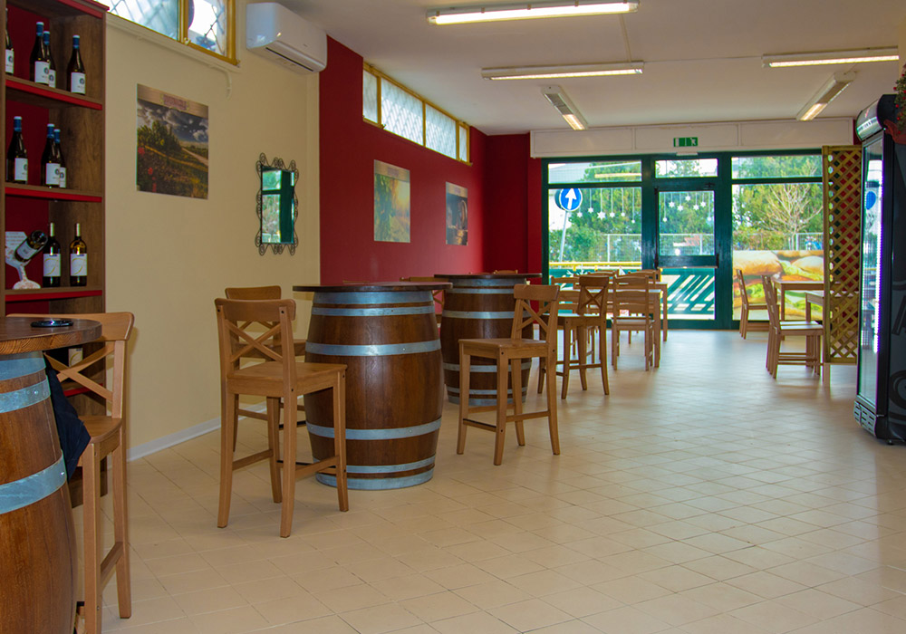 gallery6